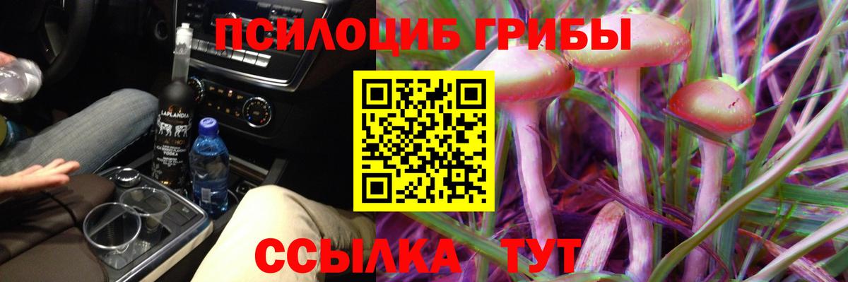 Егорьевск  Галлюциногенные грибы Magic Shrooms  Галлюциногенные грибы Cubensis  магазин продажи наркотиков  Вход с VPN 